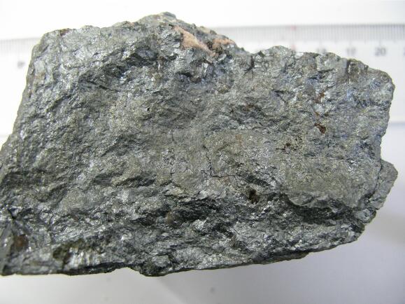 ����֮��-��ͭ��걾